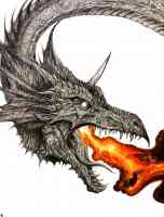 flamey dragon