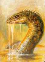 gloucester sea serpent