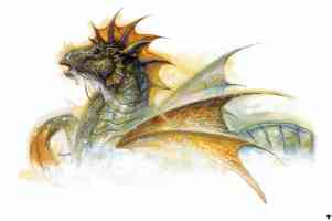 sea dragon sketch