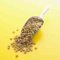 scoop of lentils