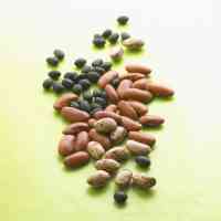 selection of dried beans