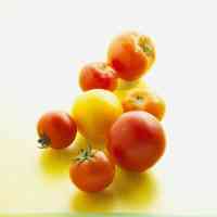 yellow and red tomatoes