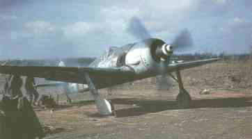 Focke Wulf FW 190 Kleuren