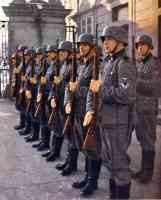 Honor guard of the Waffen SS