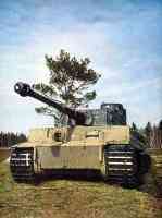 Tiger tank in battle position