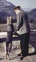 hitler and dog looking over the edge