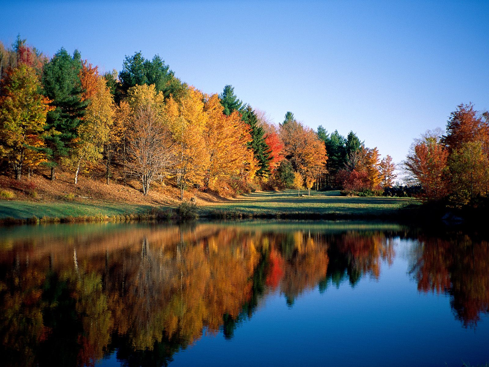 Autumn Reflections Vermont - nature wallpaper featuring autumn image