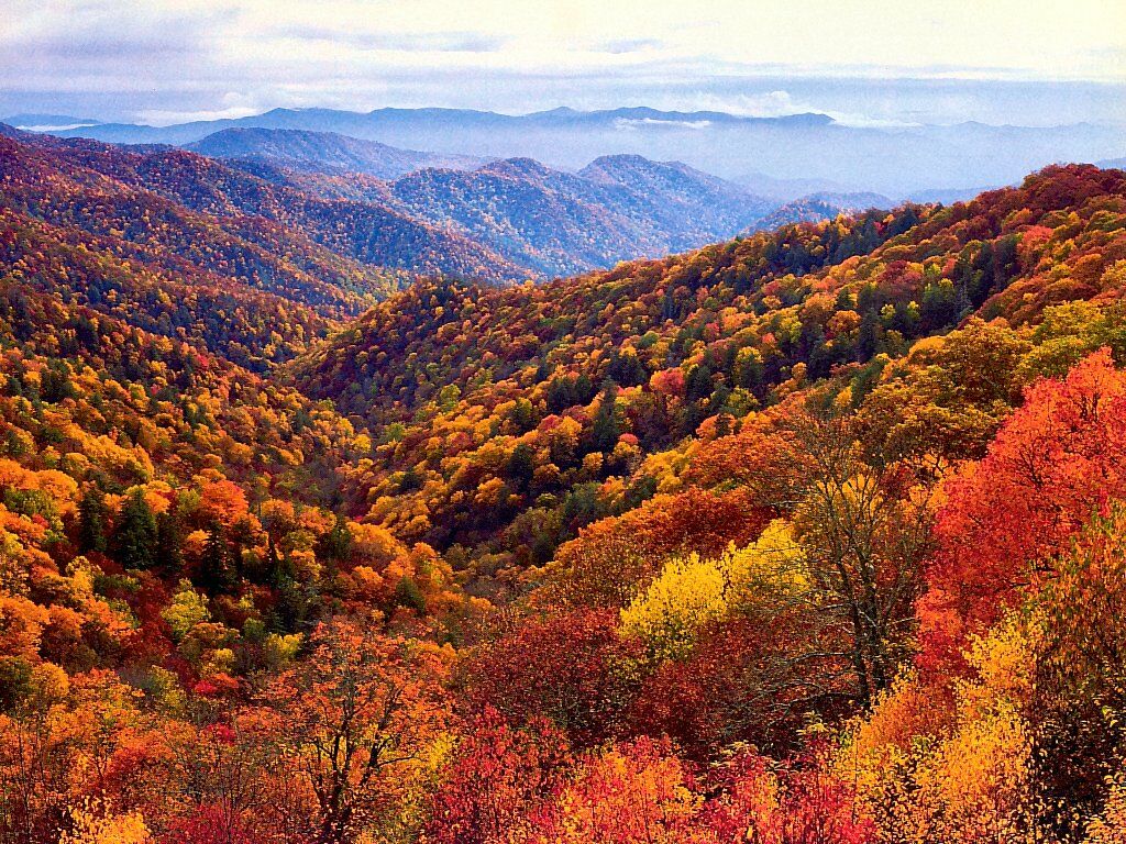 Great Smoky Mountains North Carolina - Autumn Wallpaper