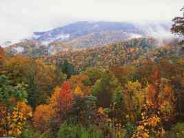 Lush Landscape Appalachian Mountains North Carolina