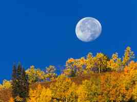Moon Setting at First Light Crested Butte Colorado