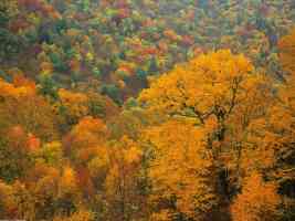 Rolling Fall Landscape Appalachian Mountains North Carolina