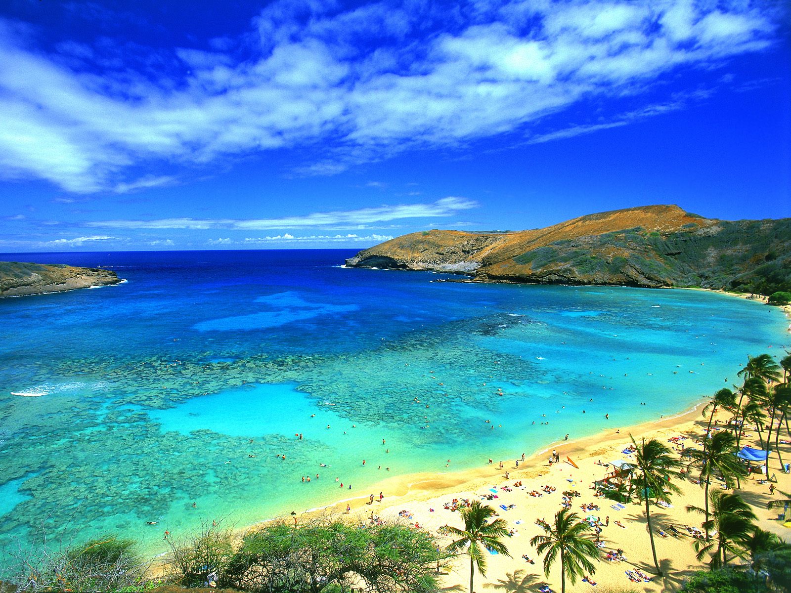 Hawaii Background Wallpaper