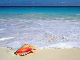 Beachside Treasure Yucatan Peninsula Mexico