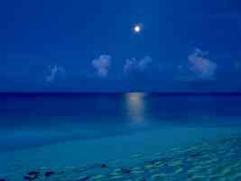 By the Light of the Moon Cancun Mexico