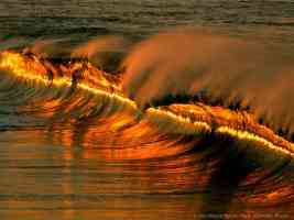 golden wave at sunset