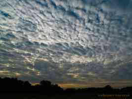 altocumulus clouds at sunset