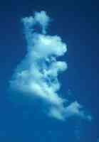 bunny rabbit cloud