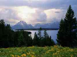 Jackson Lake and Grand Teton Wyoming