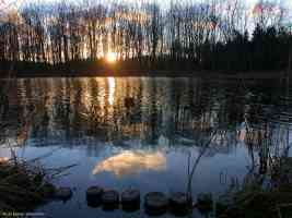 sunset through dapple light on lake