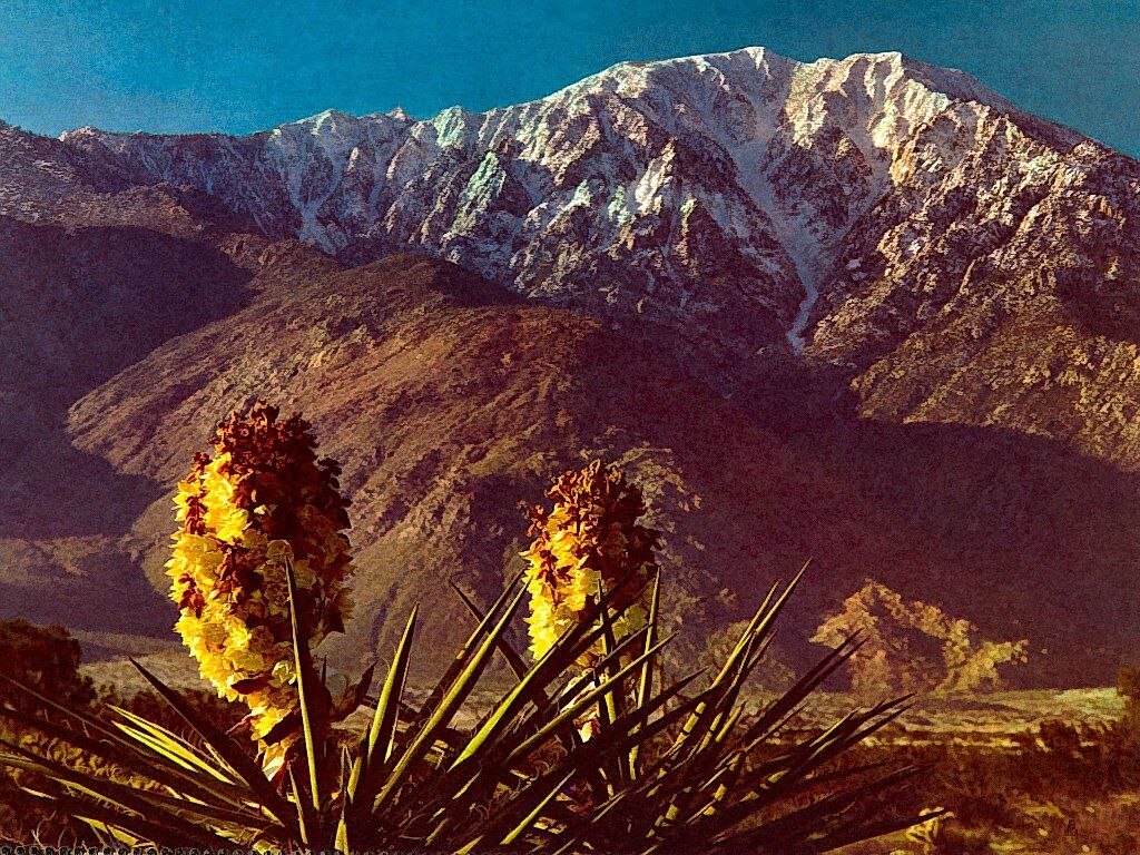 Mt San Jacinto Southern California - Mountains Wallpaper