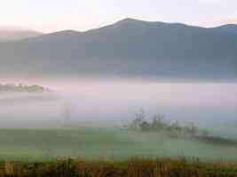 Foggy Sunrise Cades Cove Great Smoky Mountains Tennessee