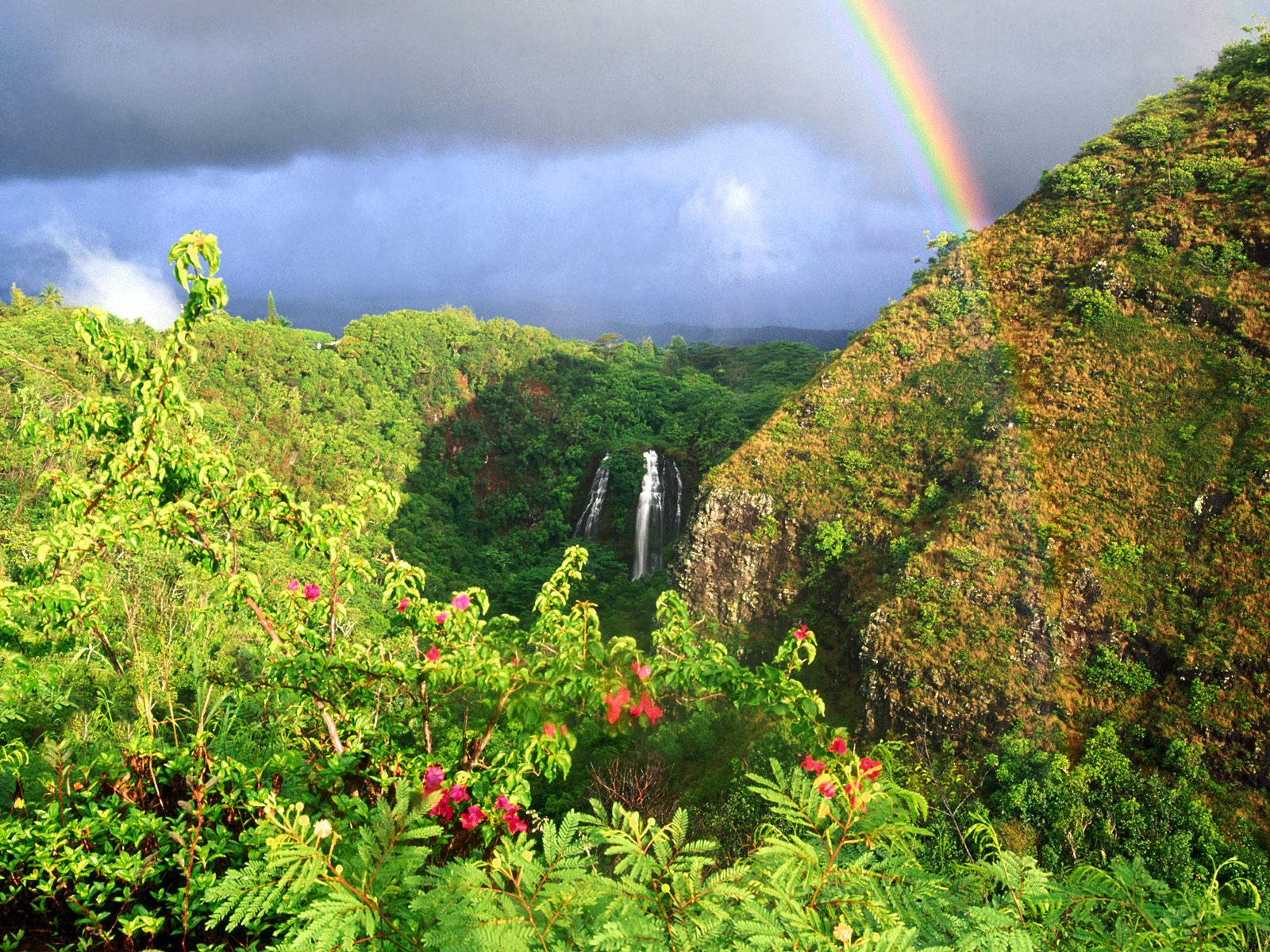 rainbow over kauai