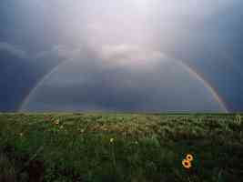 Rainbow in a Cloudy Sky over a Meadow