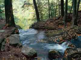 Buttermilk Falls Delaware Water Gap National Recreation Area New Jersey