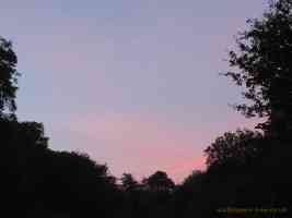 mauve pink evening sky