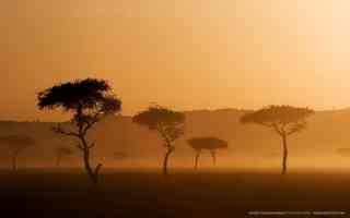 sunset in masai mara