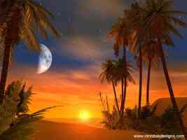 tropical sun and moon