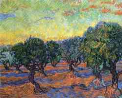 olive grove orange sky