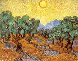 olive trees with yellow sky and sun