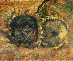 still life with two sunflowers