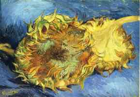 still life with two yellow sunflowers