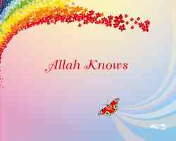 Allah Knows II by Hishmah