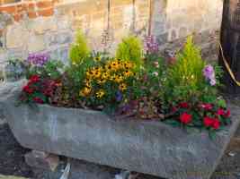 stone trough full of flowers and plants