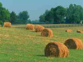 Summer Harvest Kentucky