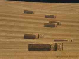 hay bales on the pilgrims way
