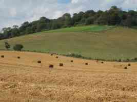 hay on rolling hills