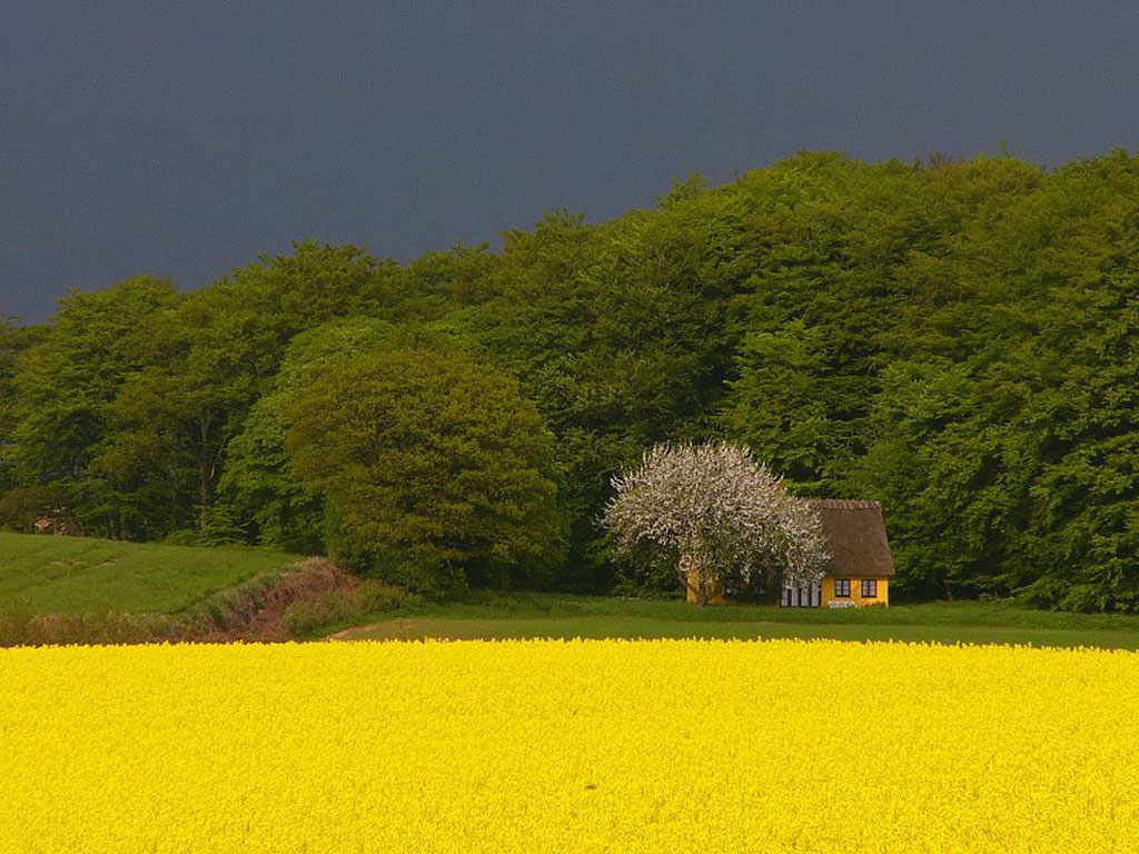 Yellow House - Scenic Wallpaper Image featuring Landscapes