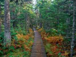 Fundy National Park New Brunswick
