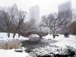 Central Park in Winter New York City New York