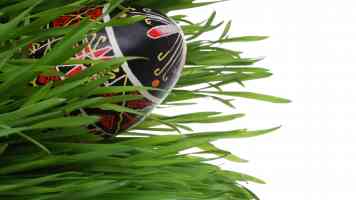 hidden easter egg in the long grass