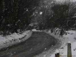 snowy road in a blizzard