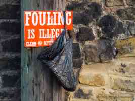 fouling is illegal