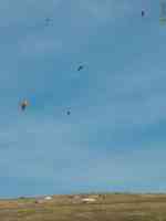 5 paragliders on north downs