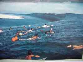 tsunami surfing