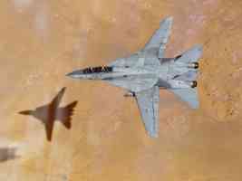 F14 Tomcat Fighter United States Navy Operation Desert Storm