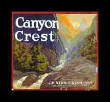 canyon crest brand oranges